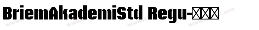 BriemAkademiStd Regu字体转换